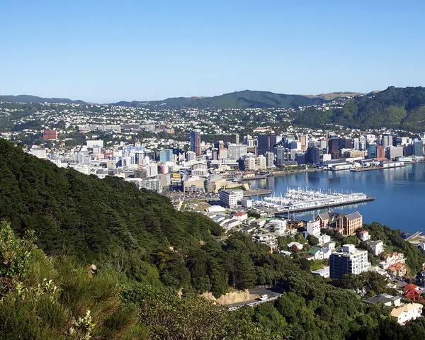 Wellington Panorama View