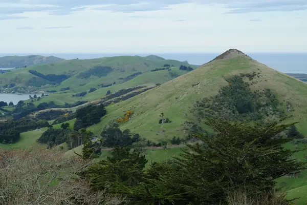 Otago Peninsula and Harbour Cone