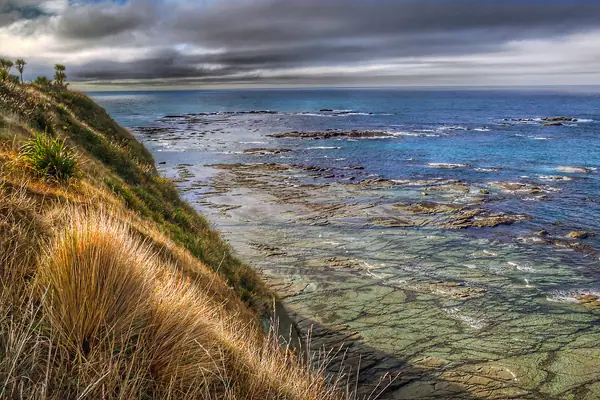 Kaikoura Seascape. NZ. (50707443028)