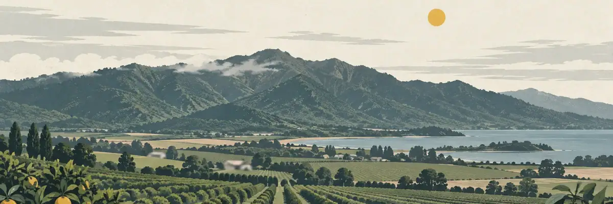 Screen-print illustration of the Kaimai range above Western Bay orchards, Western Bay of Plenty District