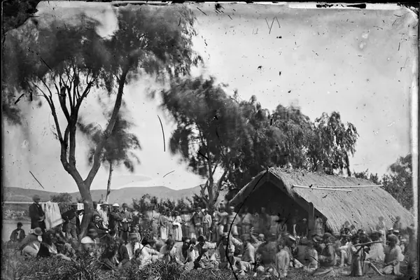 Donald McLean purchasing land at Wairoa, Hawkes Bay