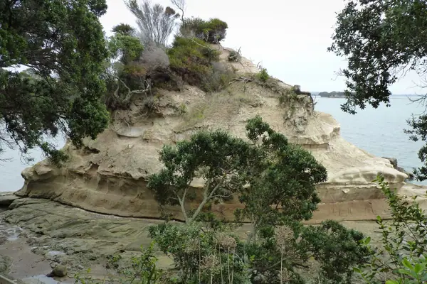 Beachlands - View Bay, New Zealand (1)