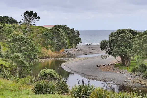 Oakura River, view to north-west