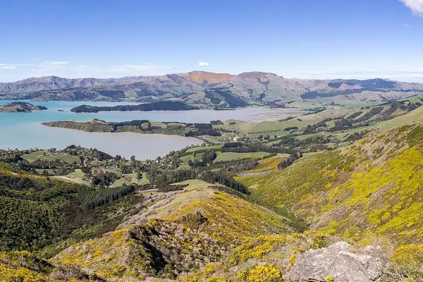 Lyttelton Harbour (Whakaraupō) from Mt Ada, Canterbury, New Zealand