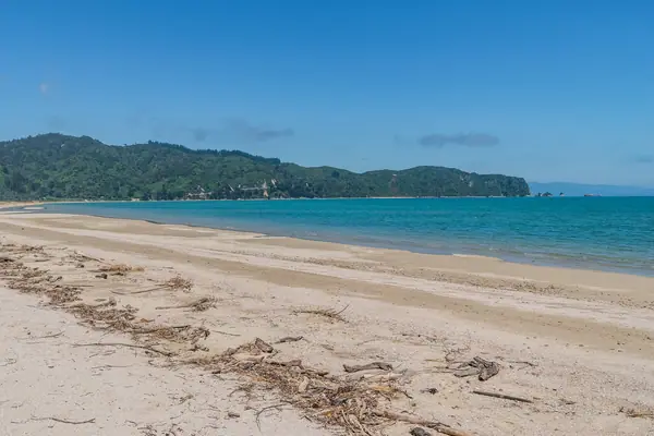 Wainui Bay 03